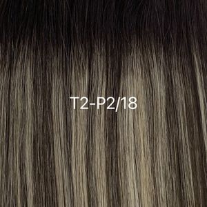 Gennius Wefts 60grams 20inches T2-P2/18